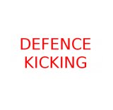 Akademia Sportów i Sztuk Walki Defence-Kicking